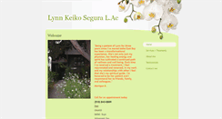 Desktop Screenshot of lynnsegura.com